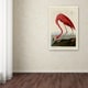 preview thumbnail 3 of 1, John James Audubon 'American Flamingo' Canvas Art