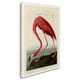 preview thumbnail 2 of 1, John James Audubon 'American Flamingo' Canvas Art