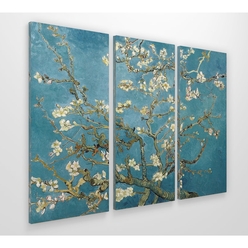 Almond BlossomHAC17M-116-3P