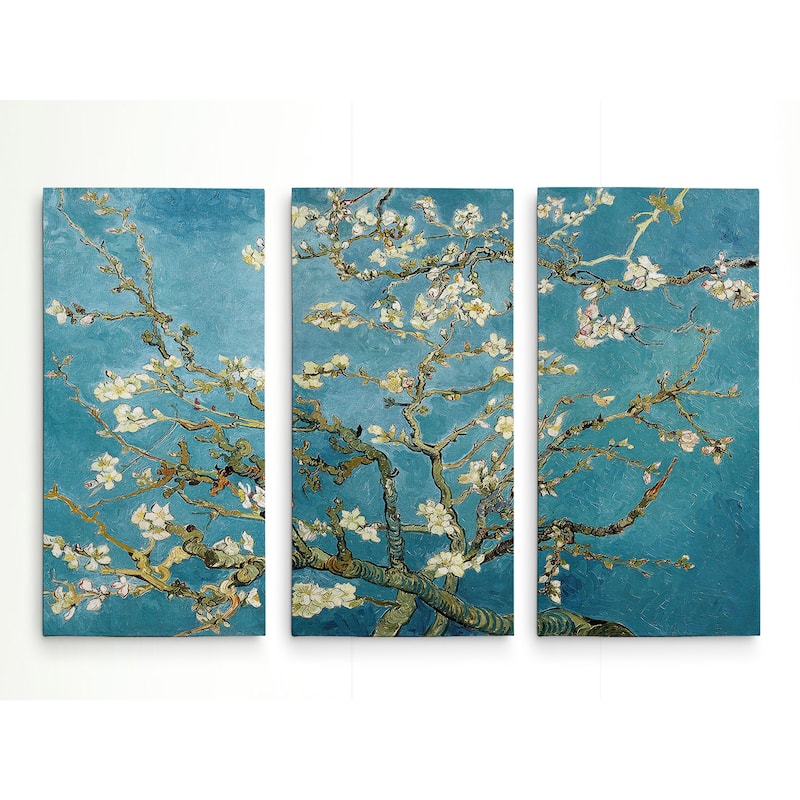 Almond BlossomHAC17M-116-3P