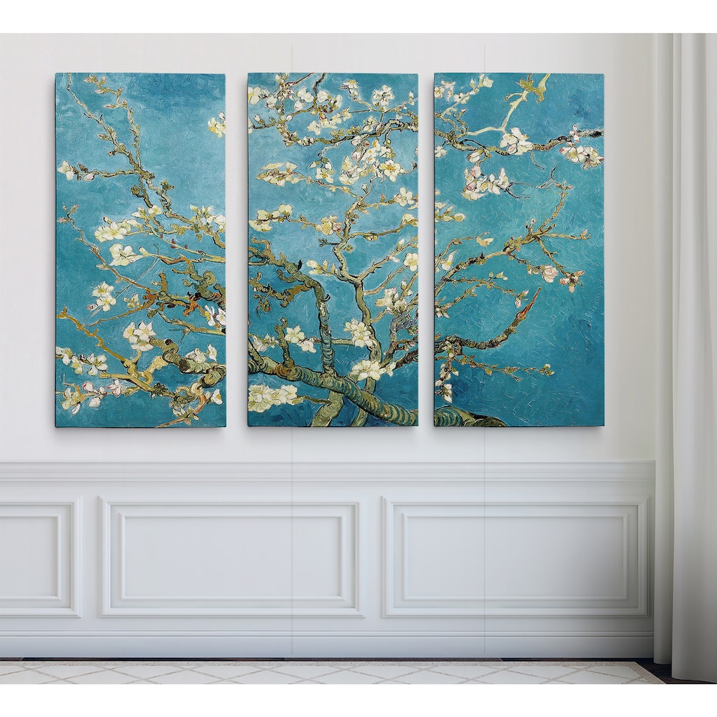 Almond BlossomHAC17M-116-3P