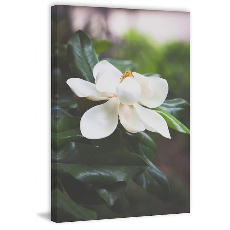 'Magnolia' Painting Print on Wrapped Canvas - White