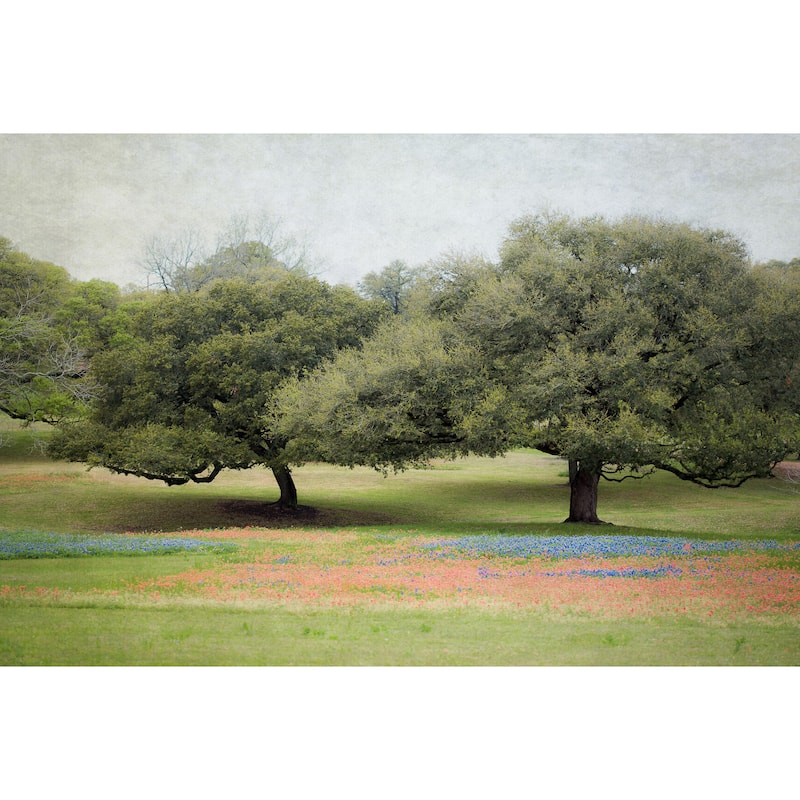 'Texas Blue Bonnets' Painting Print on Wrapped Canvas - Green