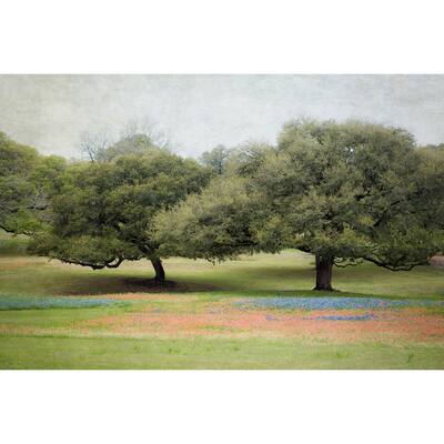 'Texas Blue Bonnets' Painting Print on Wrapped Canvas - Green