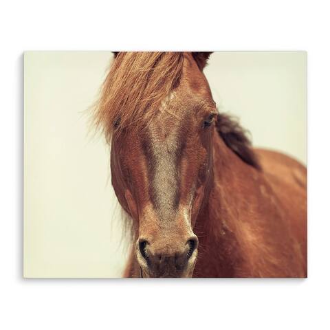 Kavka Designs Outer Banks Brown/Blue Canvas Art