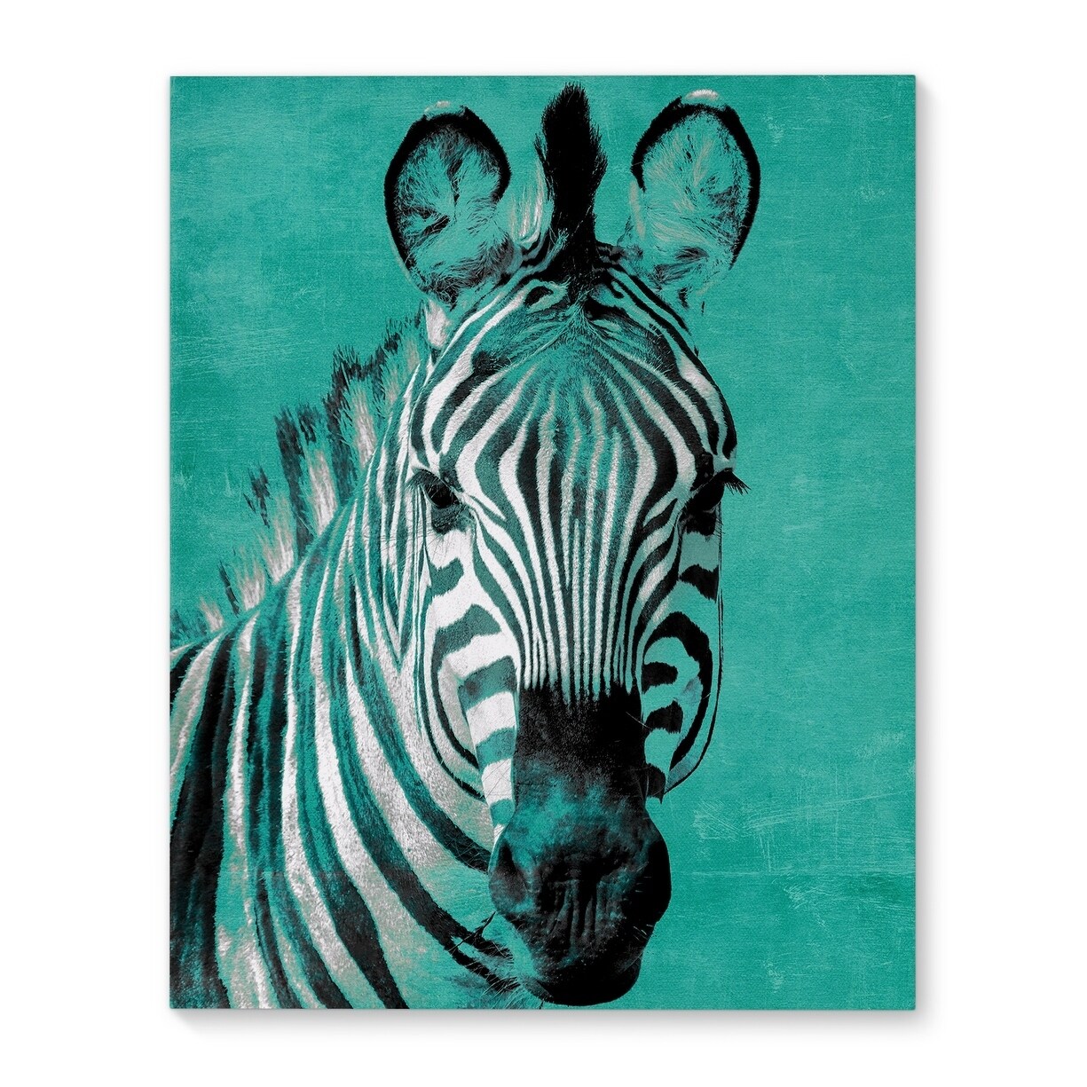 Shop Kavka Designs Zebra Teal Teal Blue Black White Canvas Art