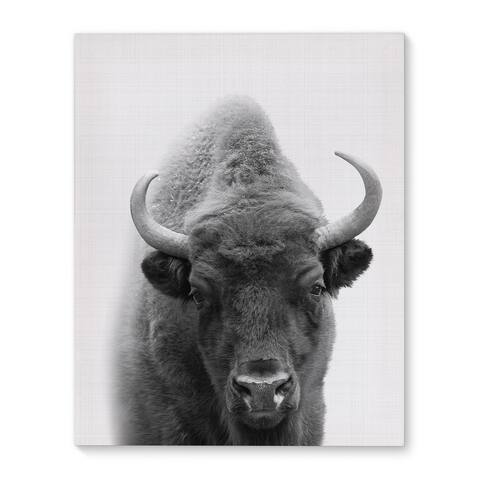 Kavka Designs Buffalo Grey/Black/White Canvas Art