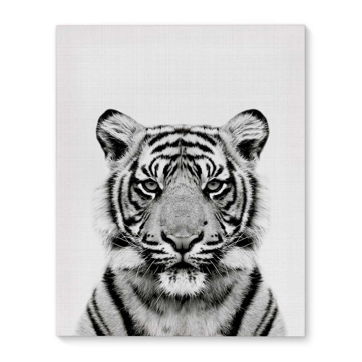 Shop Kavka Designs Tiger Grey Black White Canvas Art On Sale