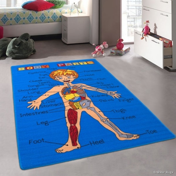 Allstar Kids Human Anatomy Learn All About The Human Rug
