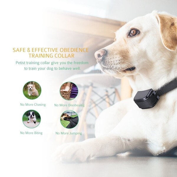 dog training collars for jumping
