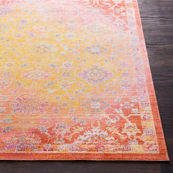 Hoddle Vintage Oriental Burnt Orange Area Rug - 3' x 5'