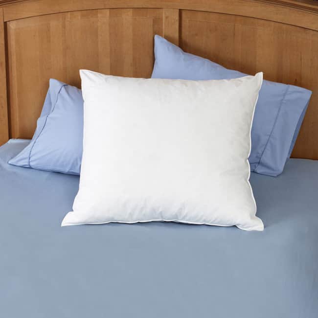 Natural Feather 26 x 26 Euro Square Pillows (Set of 2) - White