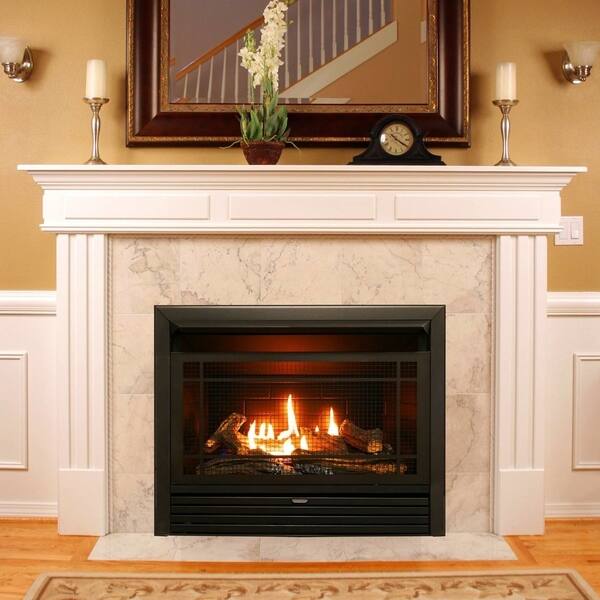 Shop Duluth Forge Dual Fuel Ventless Fireplace Insert 26 000 Btu