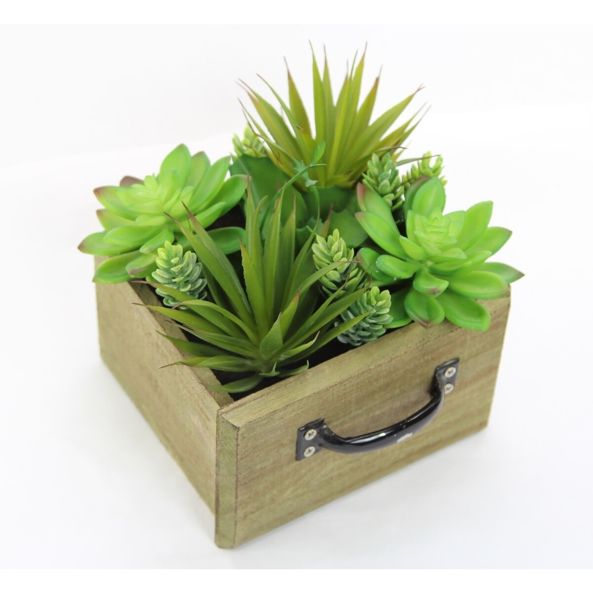 Artificial Desktop Potted Succulents Plants With Wood Planter, Green For  Home Office Dundefinedcor, Gift and Arrangement Decoration - On Sale -  Overstock - 17126750