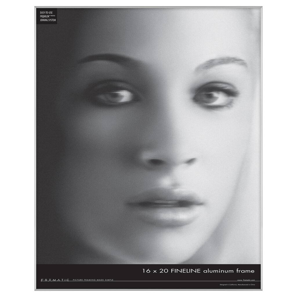 MCS Industries Fineline Silver 16-inch x 20-inch Picture Frame