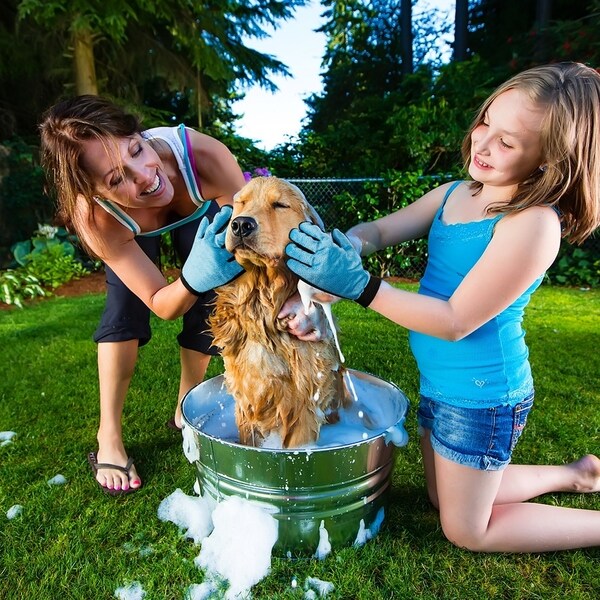 dog grooming deshedding tool