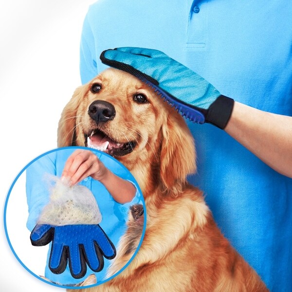 dog shedding glove