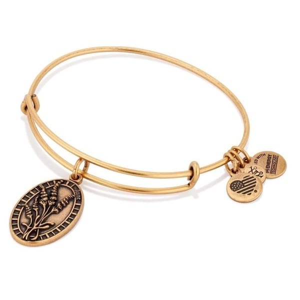 alex and ani aunt and niece