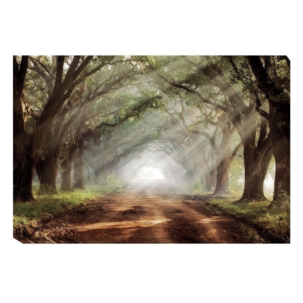Artistic Home Gallery Mike Jones Evergreen Plantation Gallery-wrapped Canvas Wall Art