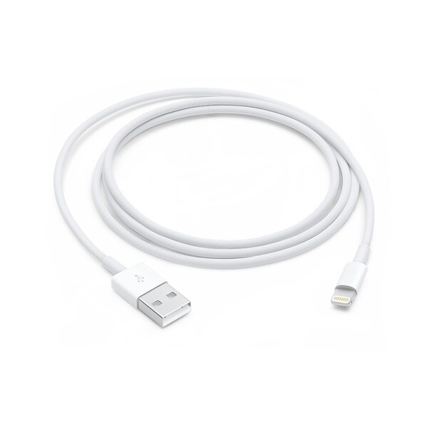 Apple 2M (6.5 ft) MFI Lightning to USB Cable