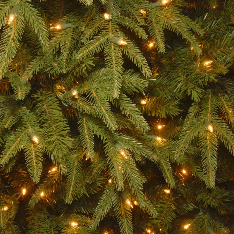 National Tree Company 9 ft. Northern Fraser Fir Tree with Clear Lights - 9'