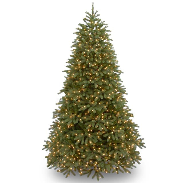 6.5 ft. Jersey Fraser Fir Medium Tree with Clear Lights - 6.5'h