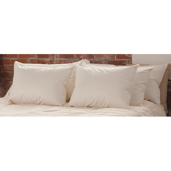 Organic, Naturally Hypoallergenic & Eco-Friendly 800-fill Medium Pillow