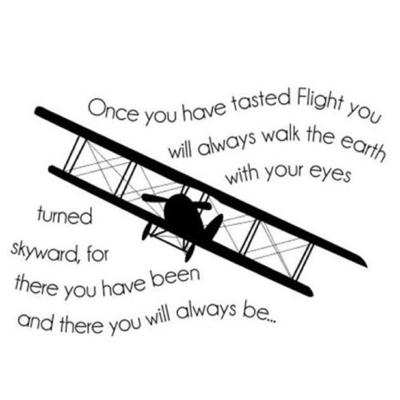 ONCE YOU HAVE TASTED FLIGHT AIRPLANE Wall Art Decal Quote Words Lettering  Decor - Bed Bath \u0026 Beyond - 17292680, image size:1315x1315
