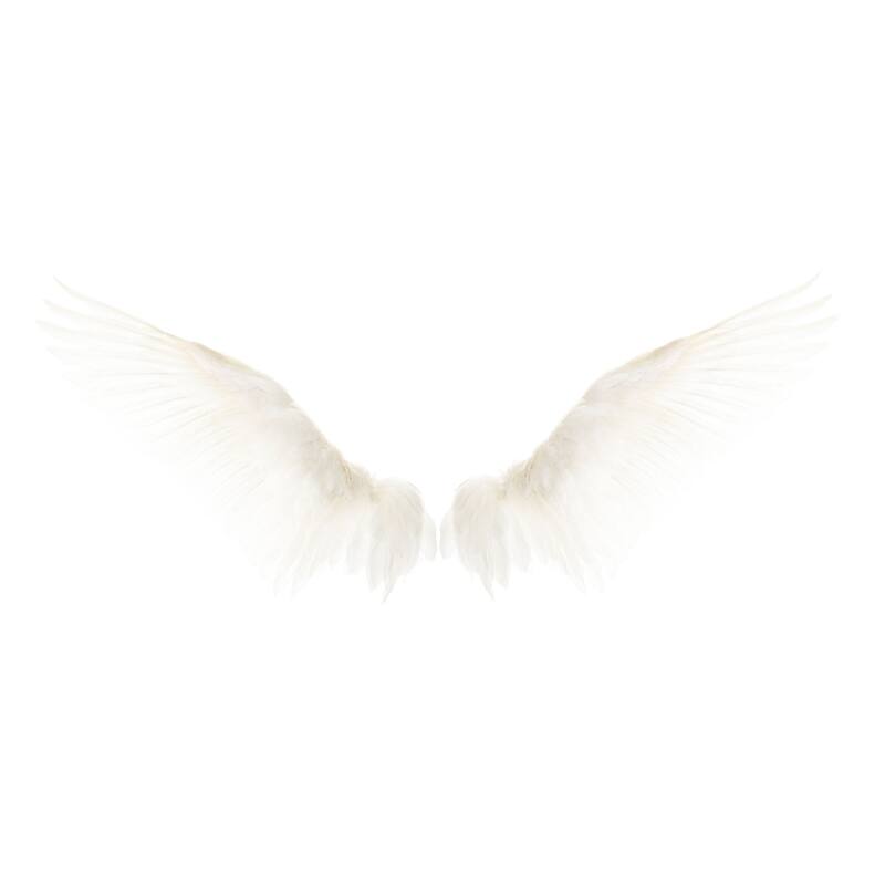 'White Wings' Painting Print on Wrapped Canvas - Multi-Color