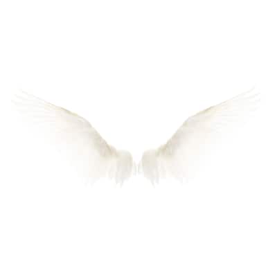 'White Wings' Painting Print on Wrapped Canvas - Multi-Color