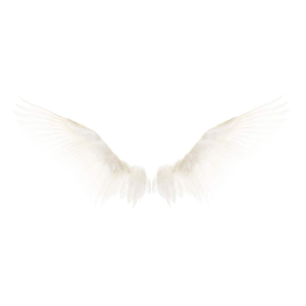 'White Wings' Painting Print on Wrapped Canvas - Multi-Color