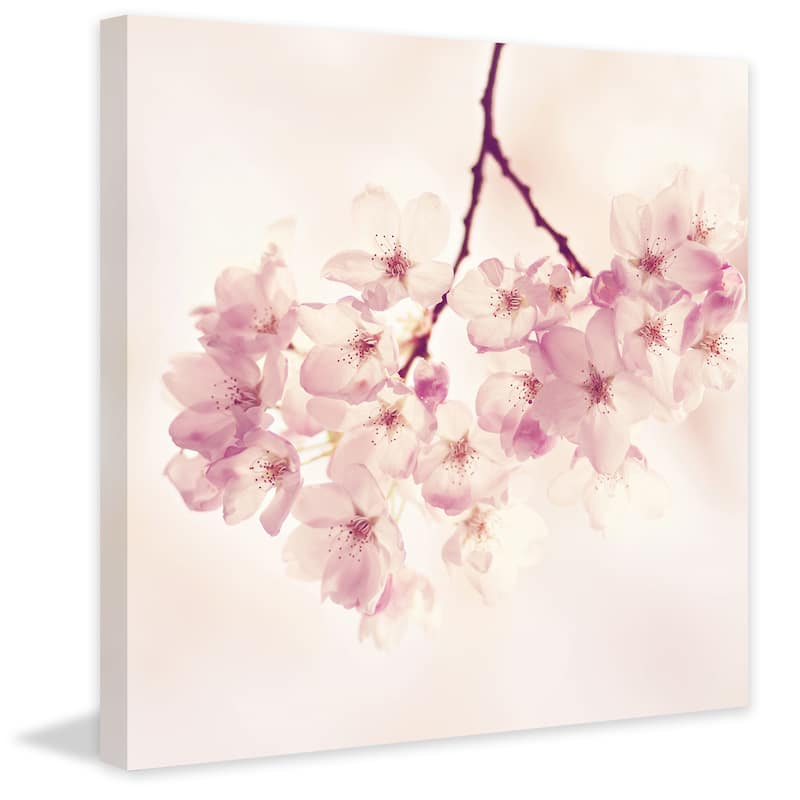 'Cherry Blossoms' Painting Print on Wrapped Canvas - Multi-Color