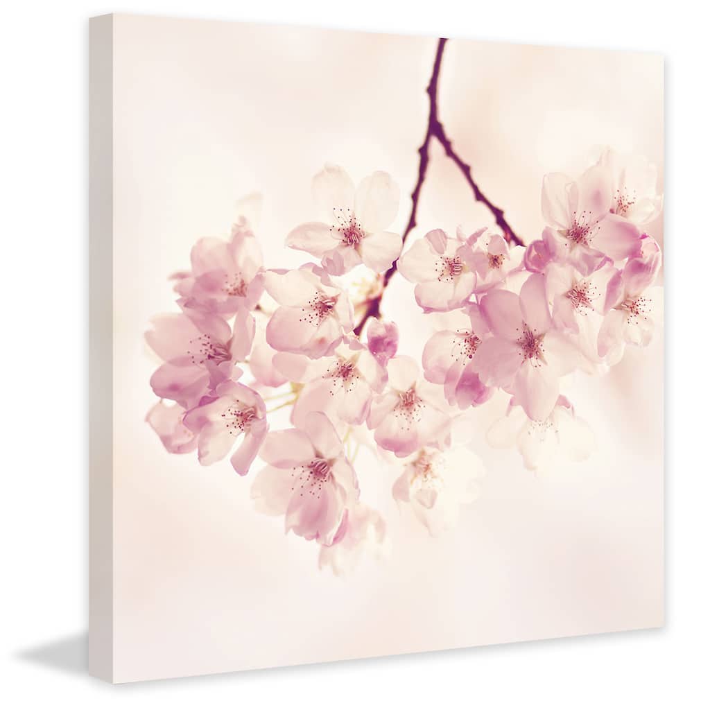 'Cherry Blossoms' Painting Print on Wrapped Canvas - Multi-Color