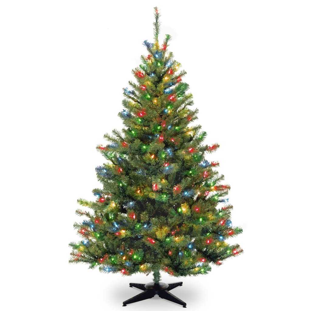 National Tree Company 6 ft. Kincaid Spruce Tree with Multicolor Lights - 6'