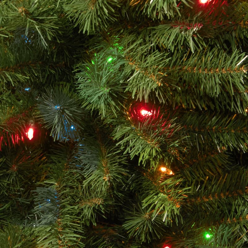 National Tree Company 6 ft. Kincaid Spruce Tree with Multicolor Lights - 6'