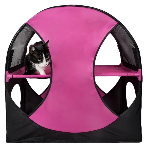 folding cat bed