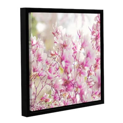 ArtWall Scott Medwetz 'Magnolia Blossoms' Gallery-wrapped Floater-framed Canvas