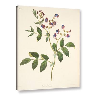 Margaret mRoscoe's 'Spring Orobus' Gallery Wrapped Canvas