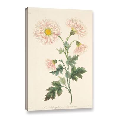 Margaret mRoscoe's 'Semi Double Quill d Pink' Gallery Wrapped Canvas