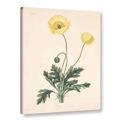 Margaret mRoscoe's 'Naked Stalked Poppy' Gallery Wrapped Canvas