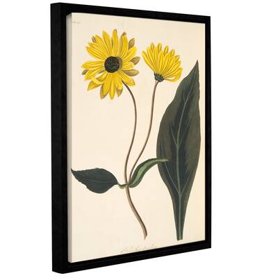 Margaret mRoscoe's 'Dark Eyed Sunflower' Gallery Wrapped Floater-framed Canvas