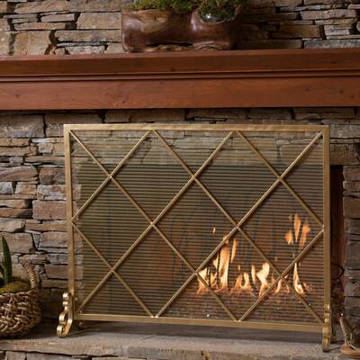 Howell Single Panel Iron Fireplace Screen by Christopher Knight Home