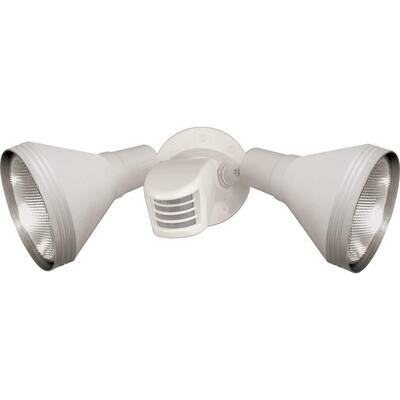 2 Light PAR38 Floodlight