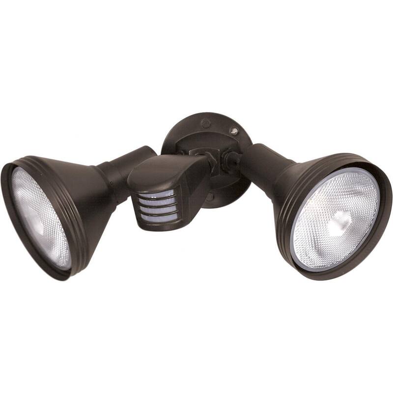 2 Light PAR38 Floodlight