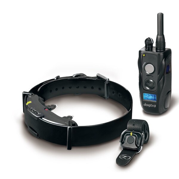 how to use a dog training collar
