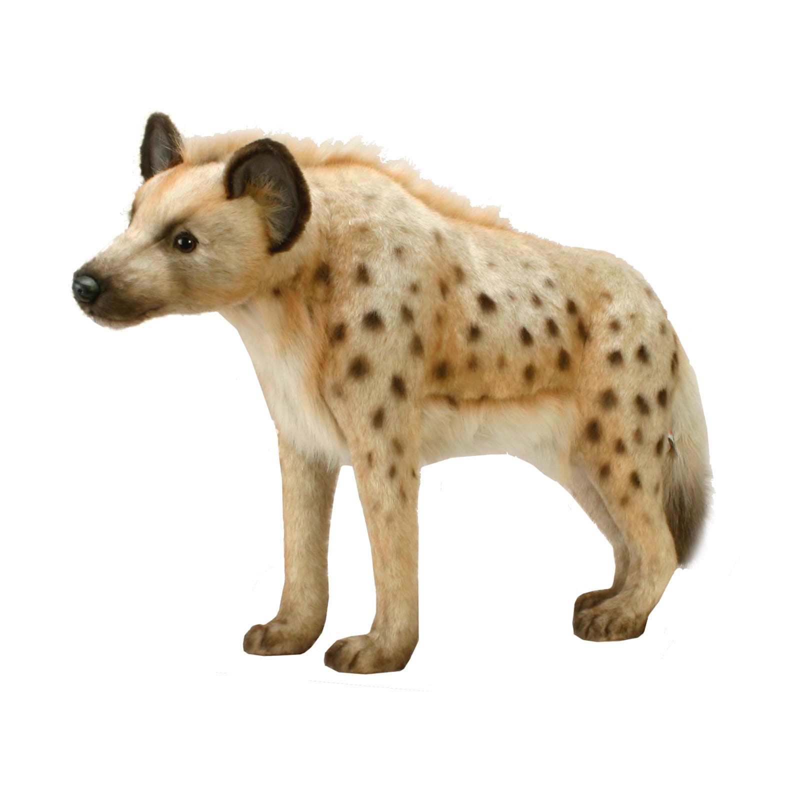 hyena plush