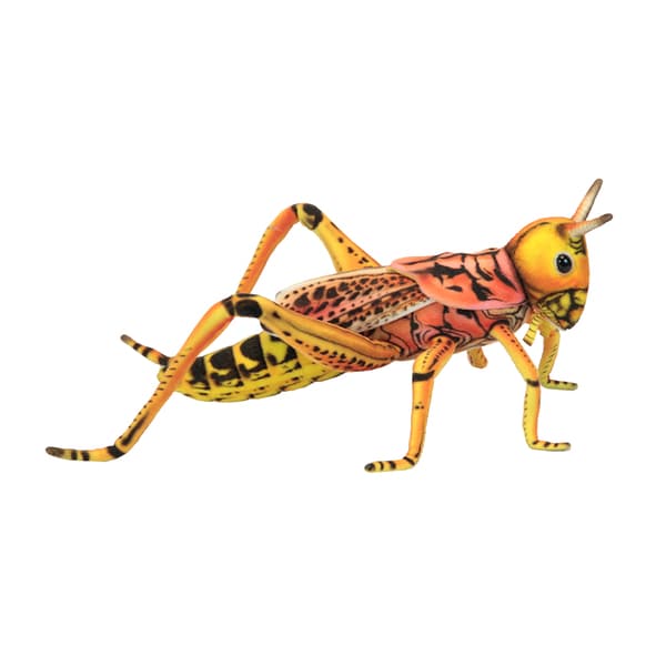 grasshopper plush