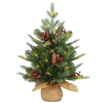 2 ft. Nordic Spruce Tree with Battery Operated Warm White LED Lights - 2 Foot