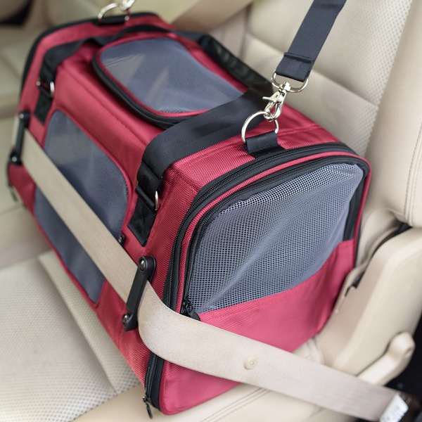 gen7 commuter pet carrier