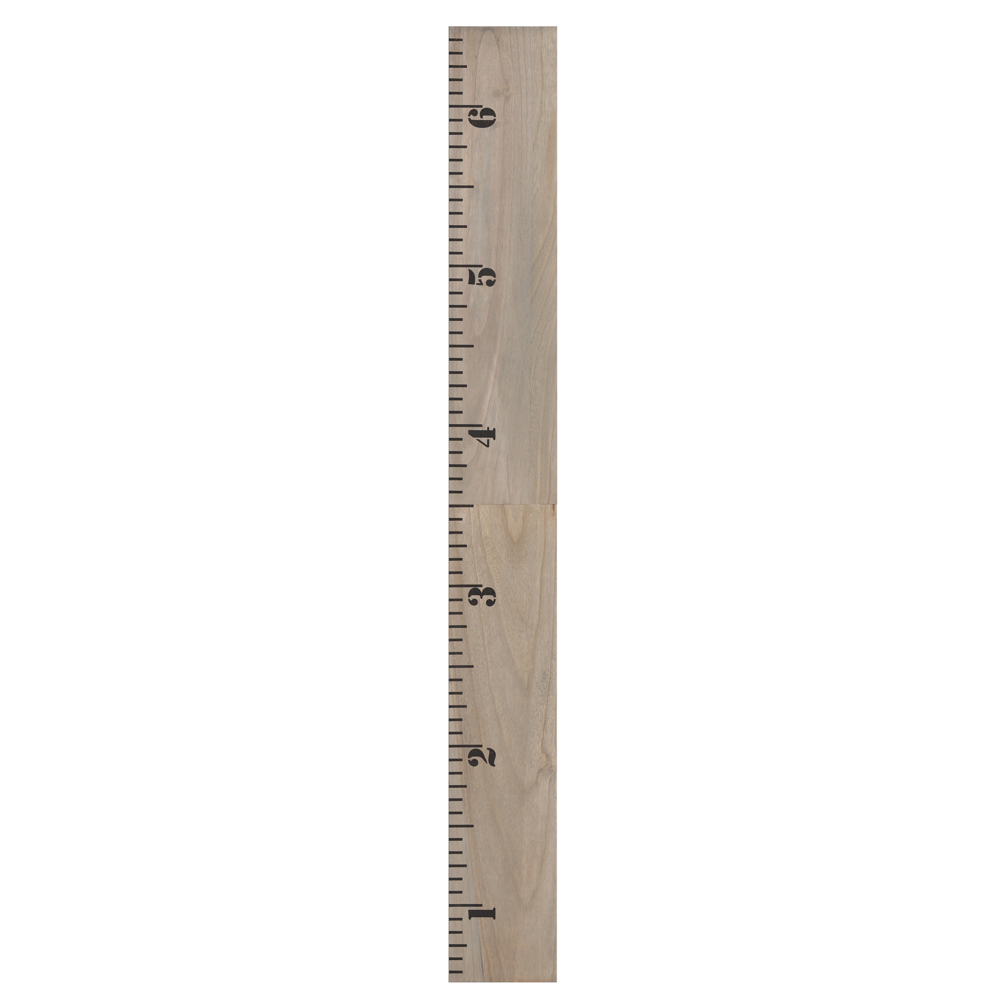 5 inch ruler